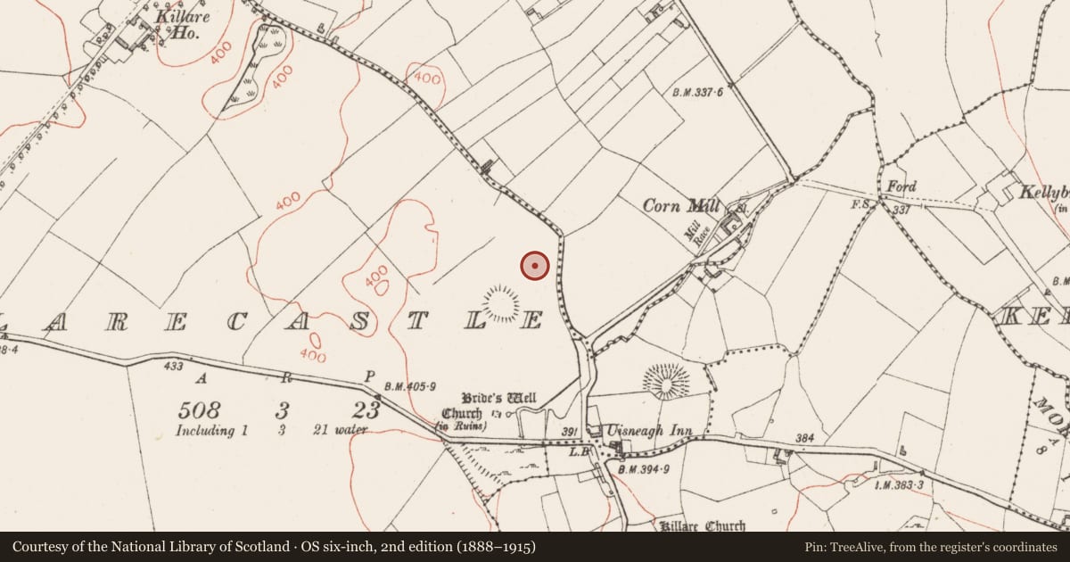 Ordnance Survey six-inch map, 2nd edition (1888–1915) covering the location of Castle - unclassified, Killarecastle, County Westmeath, with a pin at the register's coordinates