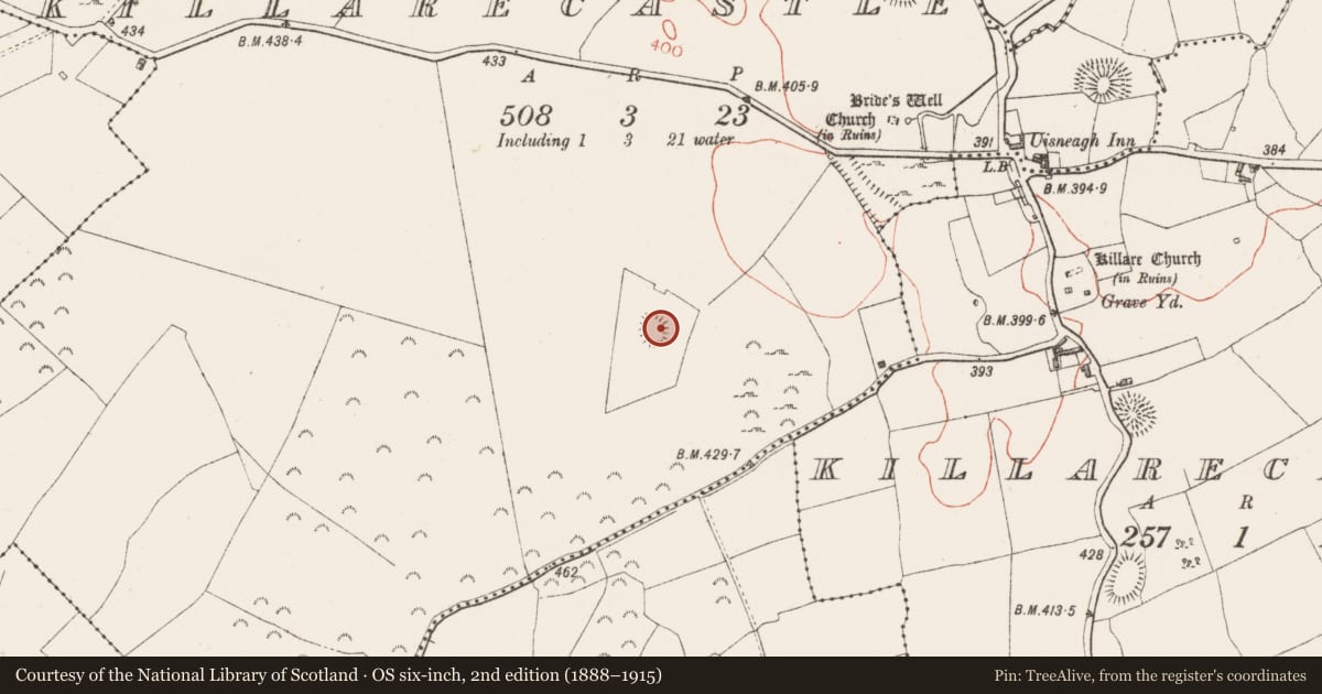 Ordnance Survey six-inch map, 2nd edition (1888–1915) covering the location of Ringfort - rath, Killarecastle, County Westmeath, with a pin at the register's coordinates