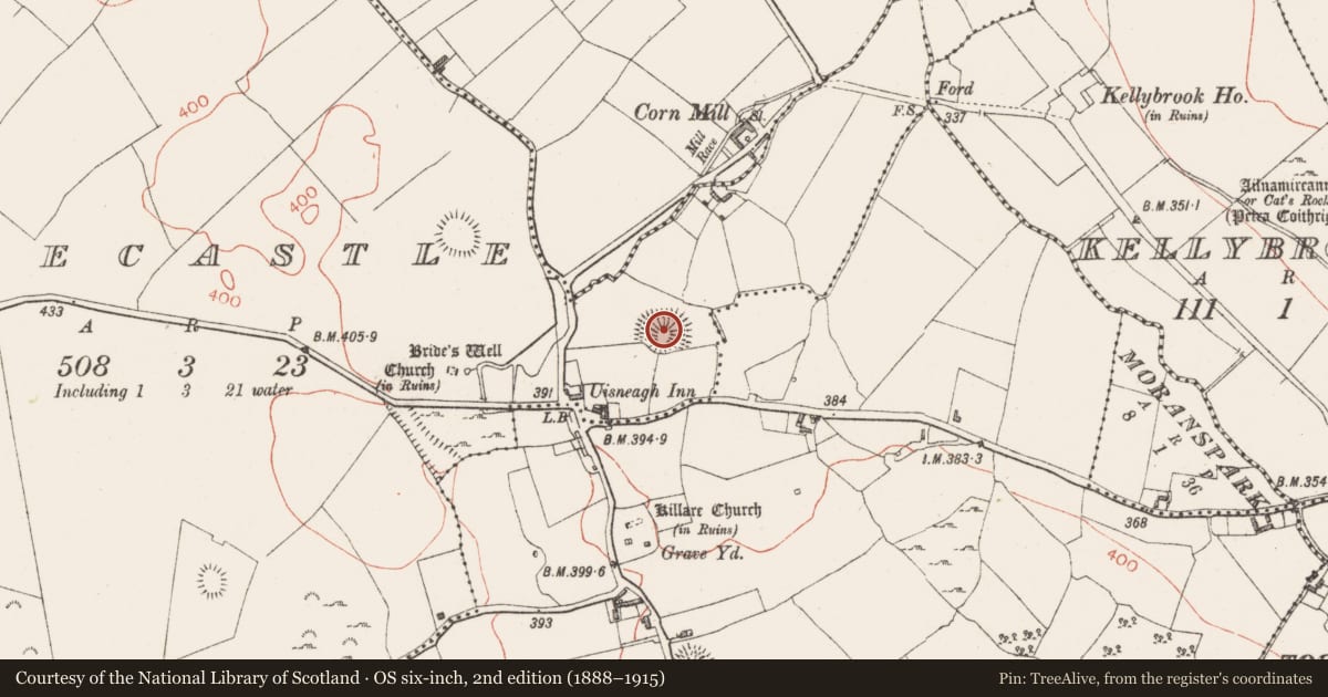 Ordnance Survey six-inch map, 2nd edition (1888–1915) covering the location of Castle - motte and bailey, Killarecastle, County Westmeath, with a pin at the register's coordinates