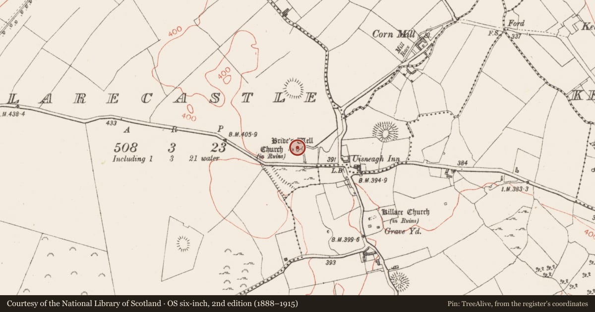 Ordnance Survey six-inch map, 2nd edition (1888–1915) covering the location of Ritual site - holy well, Killarecastle, County Westmeath, with a pin at the register's coordinates