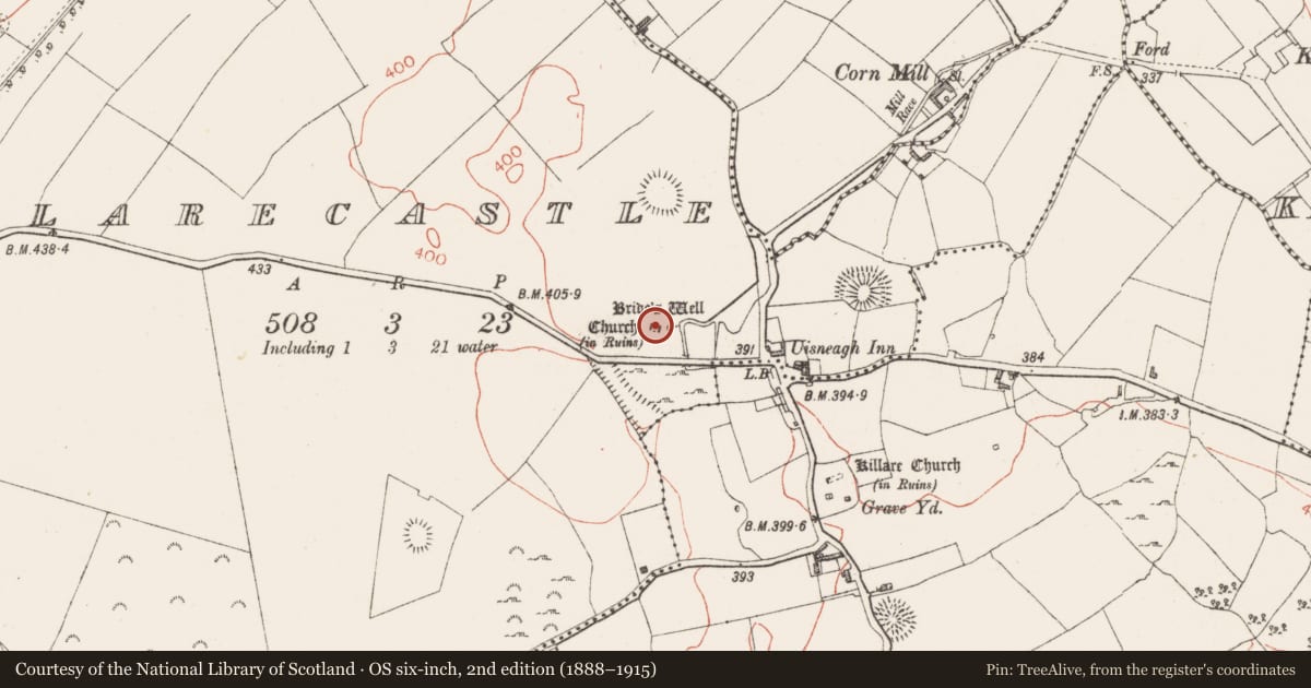 Ordnance Survey six-inch map, 2nd edition (1888–1915) covering the location of Ecclesiastical enclosure, Killarecastle, County Westmeath, with a pin at the register's coordinates