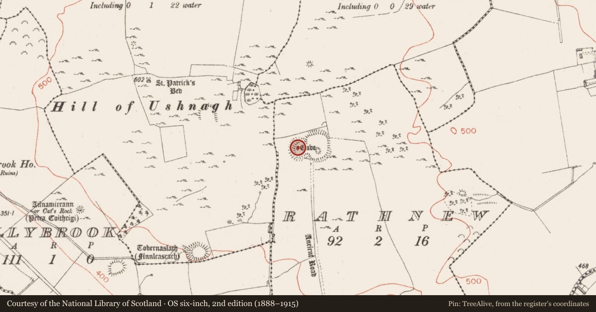 Ordnance Survey six-inch map, 2nd edition (1888–1915) covering the location of Souterrain, Rathnew, County Westmeath, with a pin at the register's coordinates
