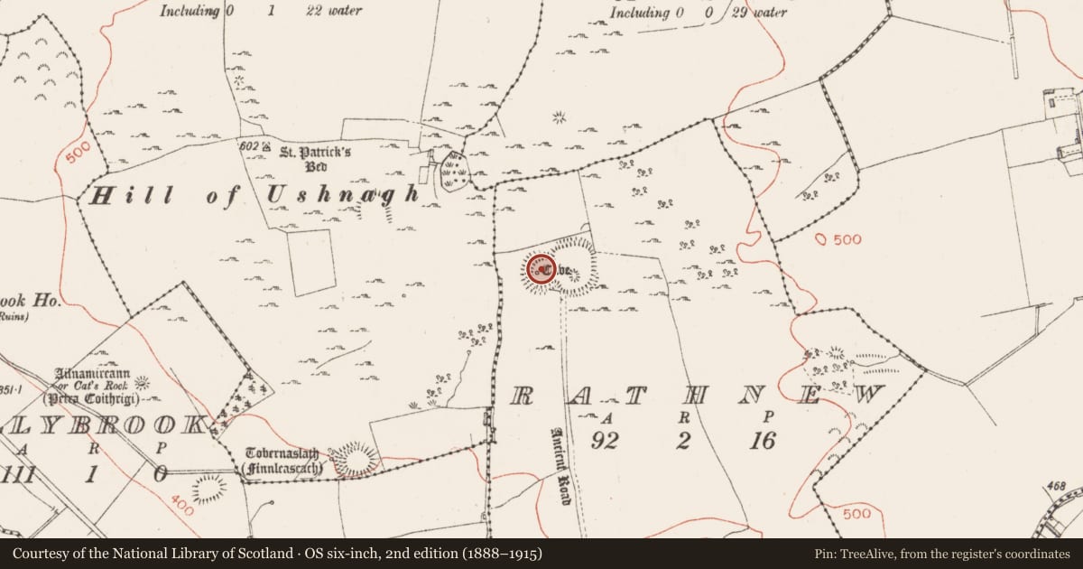 Ordnance Survey six-inch map, 2nd edition (1888–1915) covering the location of Hut site, Rathnew, County Westmeath, with a pin at the register's coordinates