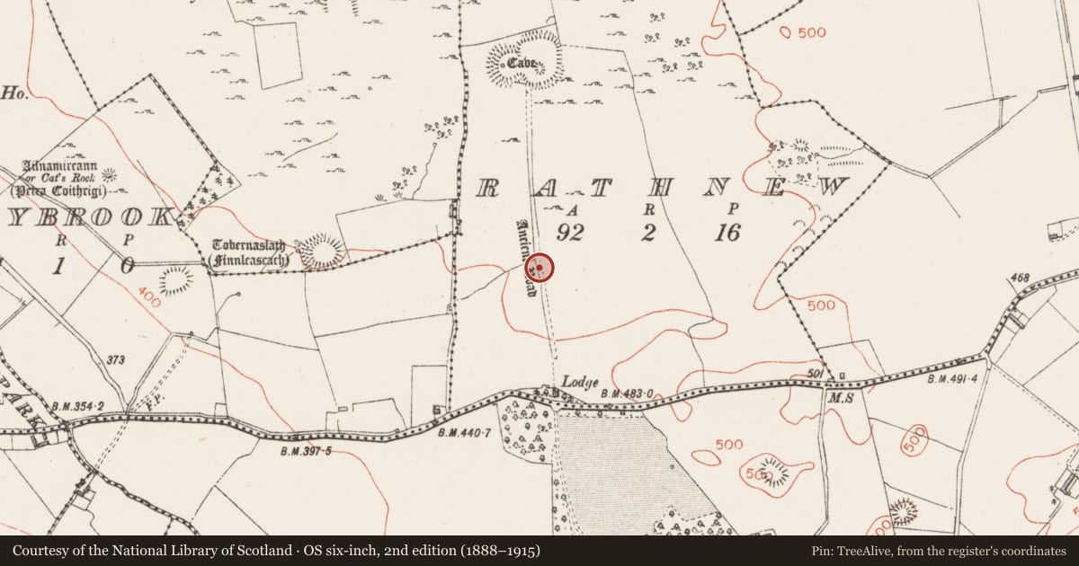 Ordnance Survey six-inch map, 2nd edition (1888–1915) covering the location of Road - road/trackway, Lalistown, Rathnew, County Westmeath, with a pin at the register's coordinates