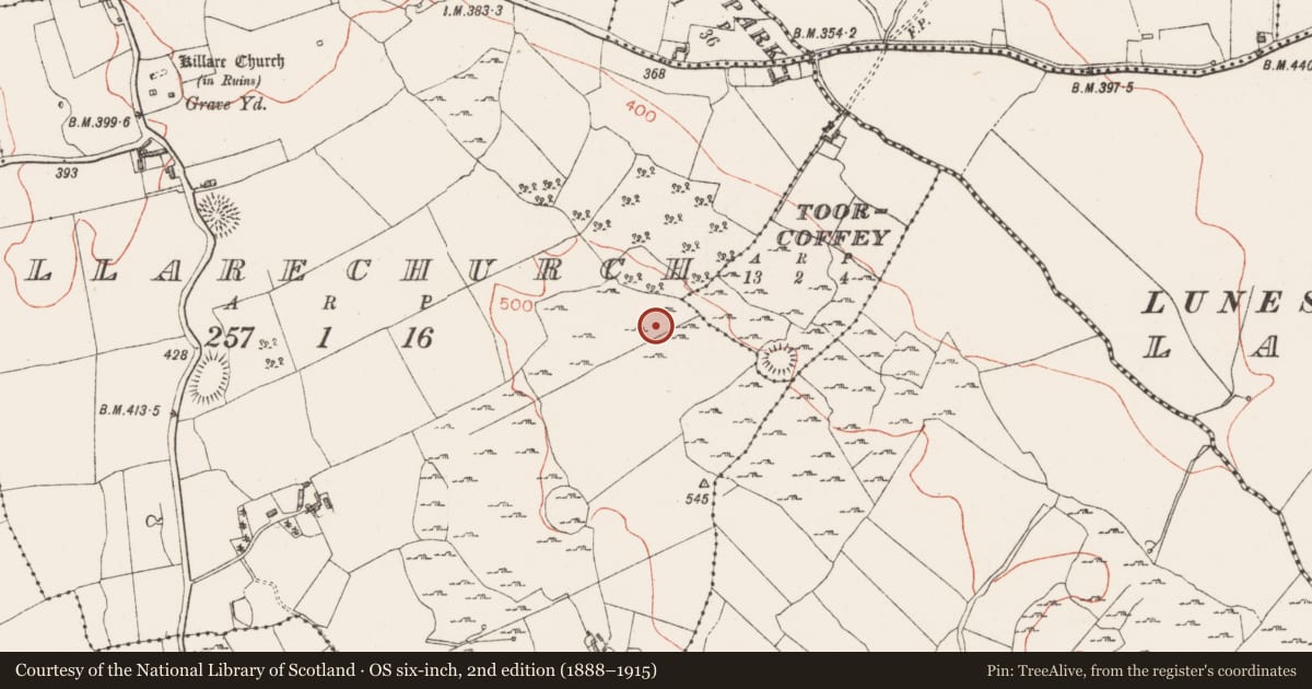 Ordnance Survey six-inch map, 2nd edition (1888–1915) covering the location of Enclosure, Killarechurch, County Westmeath, with a pin at the register's coordinates