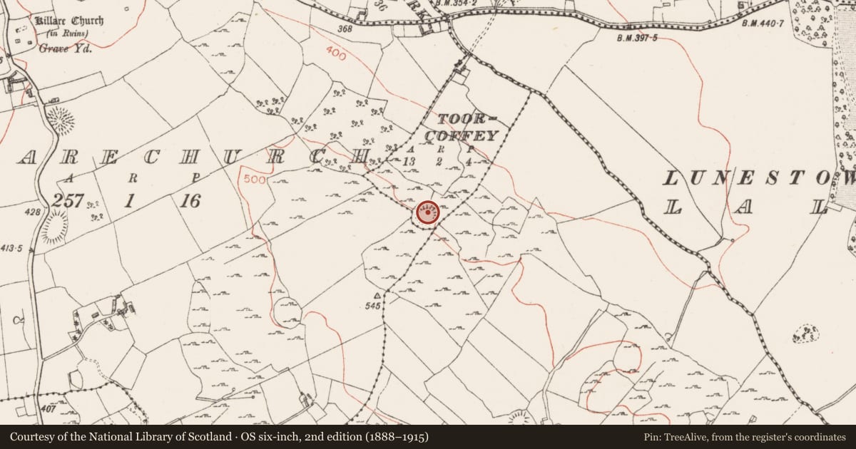Ordnance Survey six-inch map, 2nd edition (1888–1915) covering the location of Ringfort - unclassified, Toorcoffey, County Westmeath, with a pin at the register's coordinates