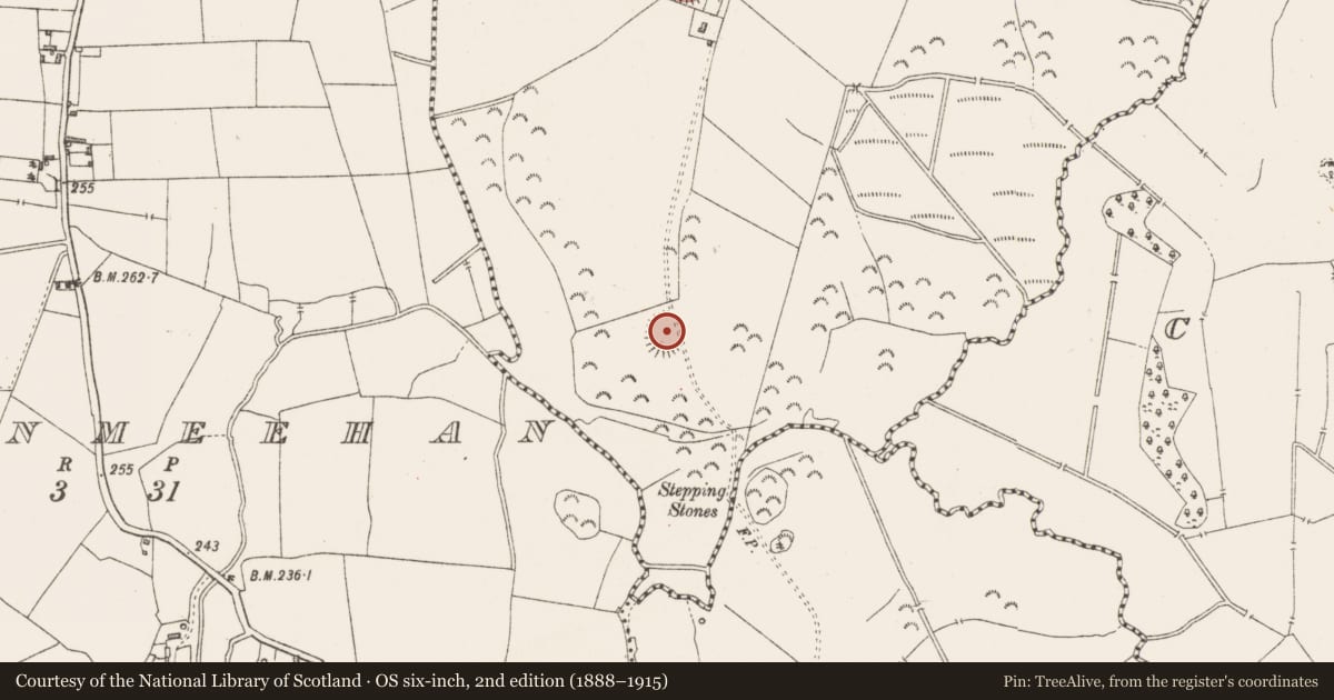 Ordnance Survey six-inch map, 2nd edition (1888–1915) covering the location of Ringfort - rath, Clonybane, County Westmeath, with a pin at the register's coordinates