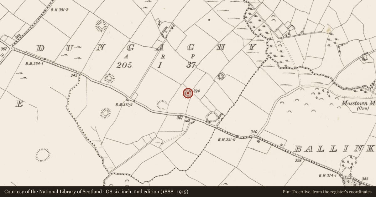 Ordnance Survey six-inch map, 2nd edition (1888–1915) covering the location of Ringfort - rath, Dungaghy, County Westmeath, with a pin at the register's coordinates