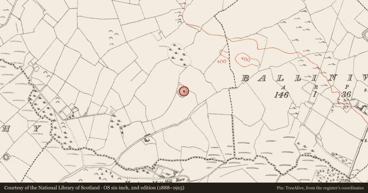Ordnance Survey six-inch map, 2nd edition (1888–1915) covering the location of Hut site, Rackavra, County Westmeath, with a pin at the register's coordinates