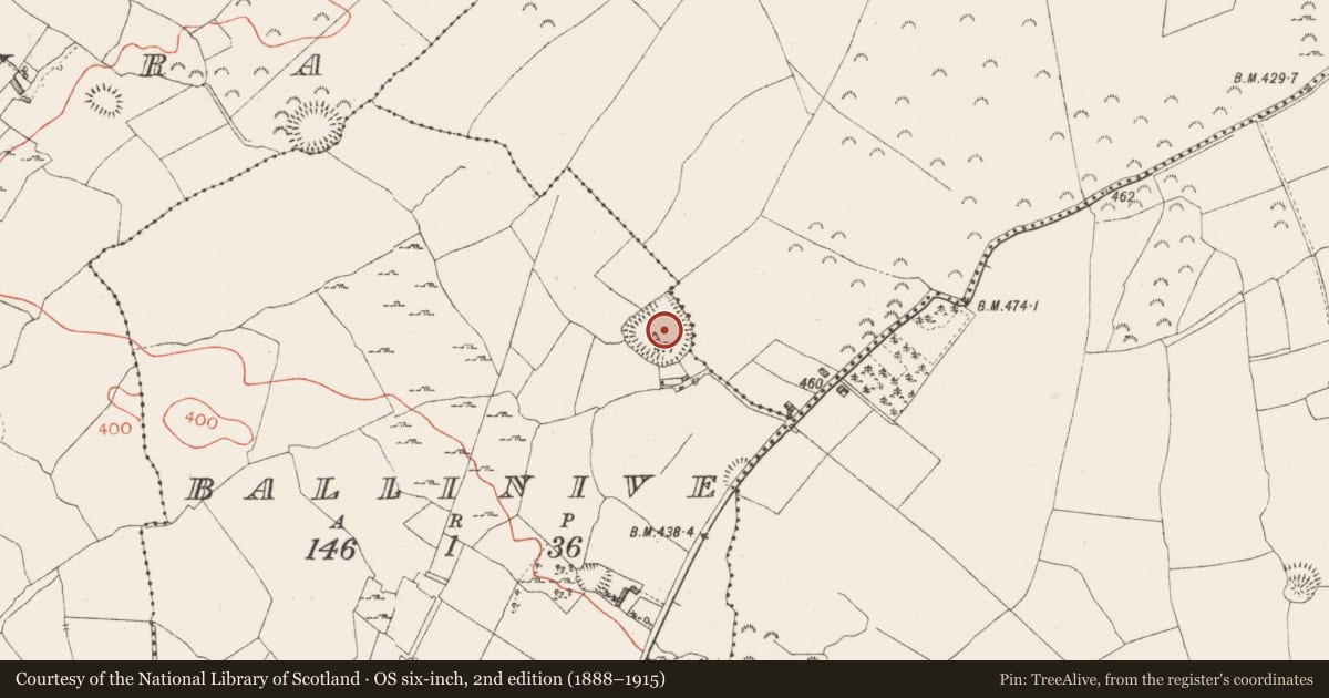 Ordnance Survey six-inch map, 2nd edition (1888–1915) covering the location of Enclosure - large enclosure, Ballinive, County Westmeath, with a pin at the register's coordinates