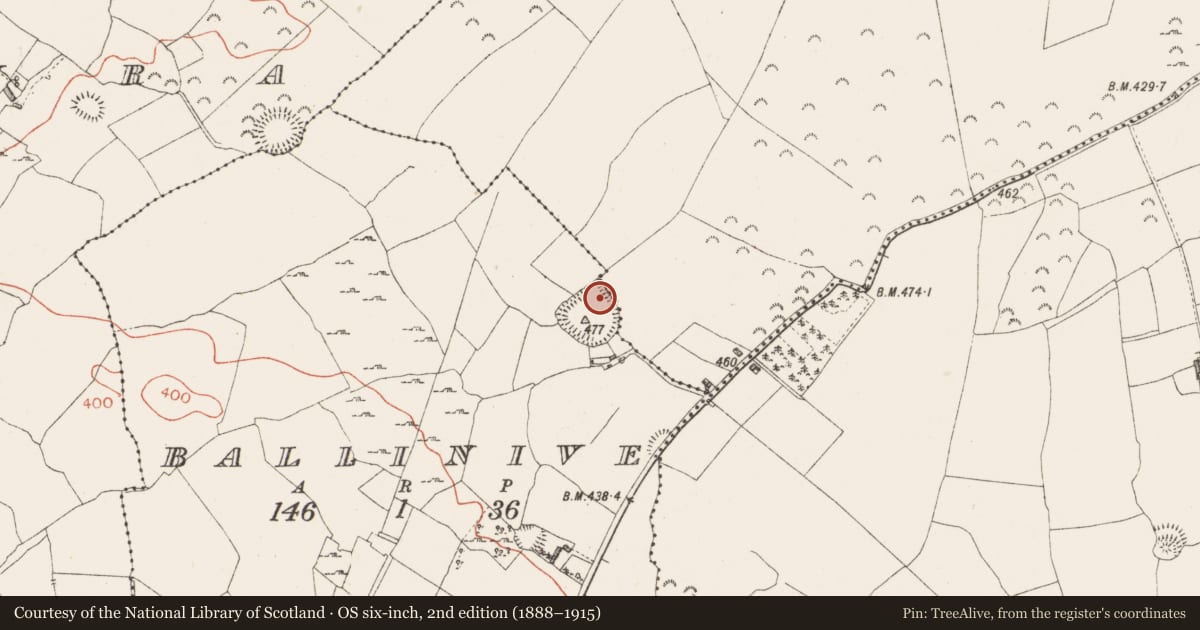 Ordnance Survey six-inch map, 2nd edition (1888–1915) covering the location of House - indeterminate date, Ballinive, County Westmeath, with a pin at the register's coordinates