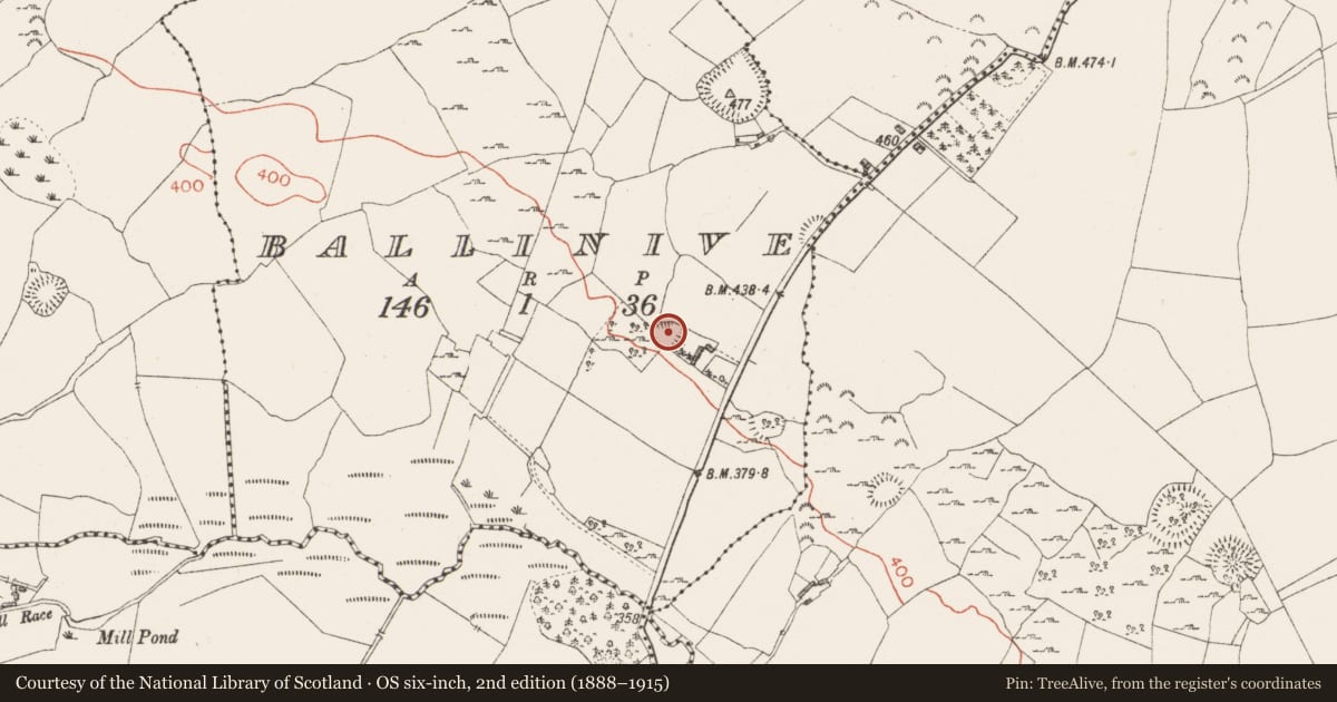 Ordnance Survey six-inch map, 2nd edition (1888–1915) covering the location of Ringfort - rath, Ballinive, County Westmeath, with a pin at the register's coordinates