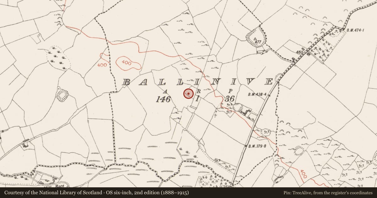 Ordnance Survey six-inch map, 2nd edition (1888–1915) covering the location of Ringfort - unclassified, Ballinive, County Westmeath, with a pin at the register's coordinates