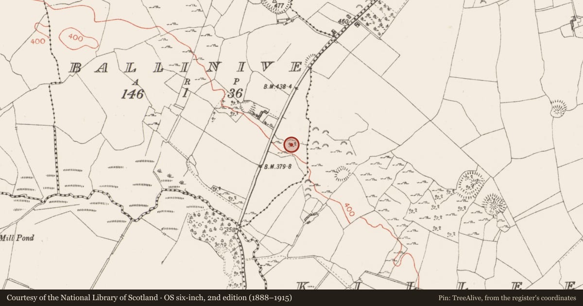 Ordnance Survey six-inch map, 2nd edition (1888–1915) covering the location of House - indeterminate date, Ballinive, County Westmeath, with a pin at the register's coordinates