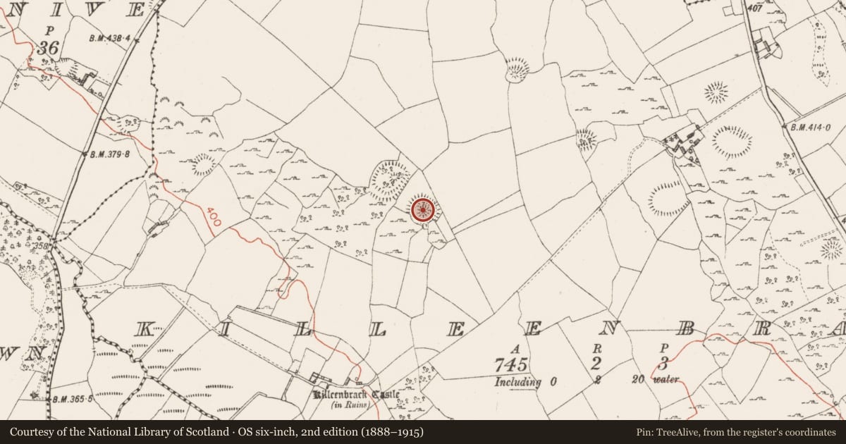 Ordnance Survey six-inch map, 2nd edition (1888–1915) covering the location of Ringfort - rath, Killeenbrack, County Westmeath, with a pin at the register's coordinates