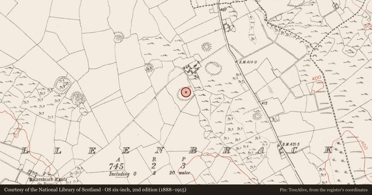 Ordnance Survey six-inch map, 2nd edition (1888–1915) covering the location of Ringfort - rath, Killeenbrack, County Westmeath, with a pin at the register's coordinates
