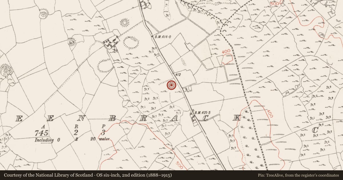 Ordnance Survey six-inch map, 2nd edition (1888–1915) covering the location of Ringfort - rath, Killeenbrack, County Westmeath, with a pin at the register's coordinates