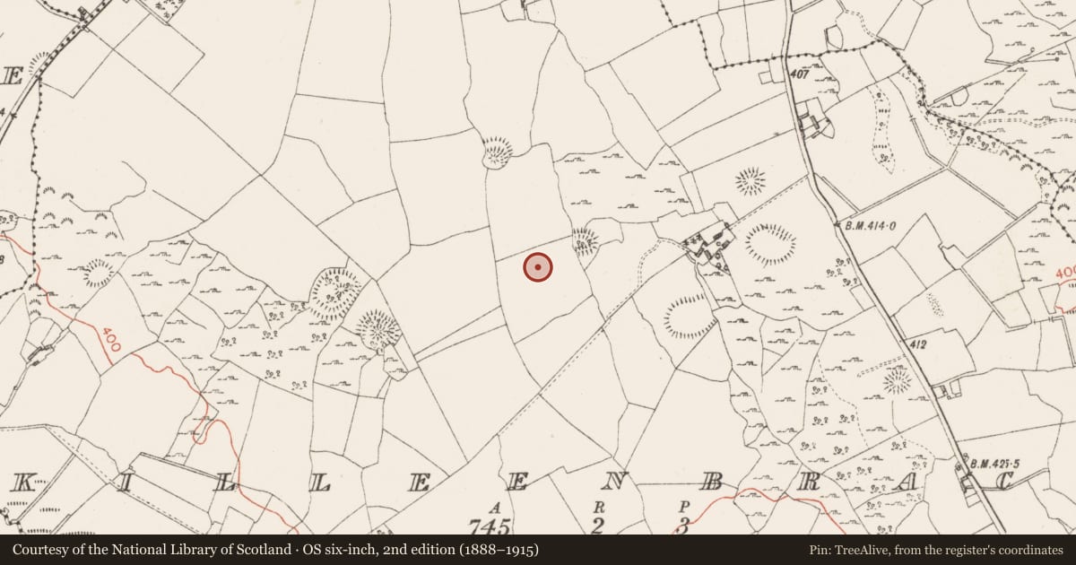 Ordnance Survey six-inch map, 2nd edition (1888–1915) covering the location of Cist, Ballinkeeny Or Mosstown, County Westmeath, with a pin at the register's coordinates