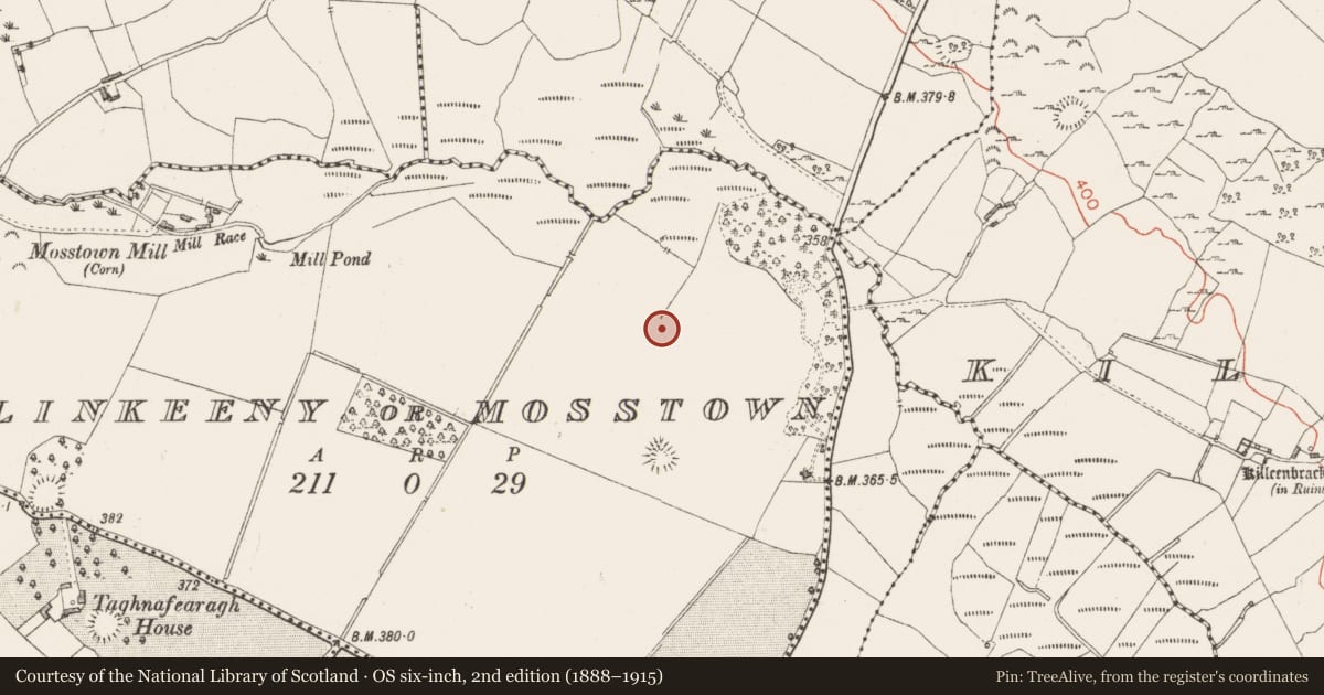 Ordnance Survey six-inch map, 2nd edition (1888–1915) covering the location of Burial ground, Ballinkeeny Or Mosstown, County Westmeath, with a pin at the register's coordinates