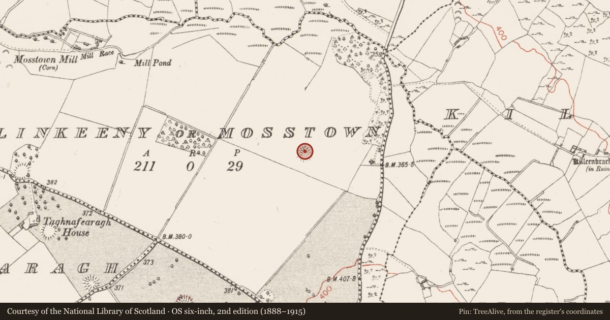 Ordnance Survey six-inch map, 2nd edition (1888–1915) covering the location of Ringfort - rath, Ballinkeeny Or Mosstown, County Westmeath, with a pin at the register's coordinates