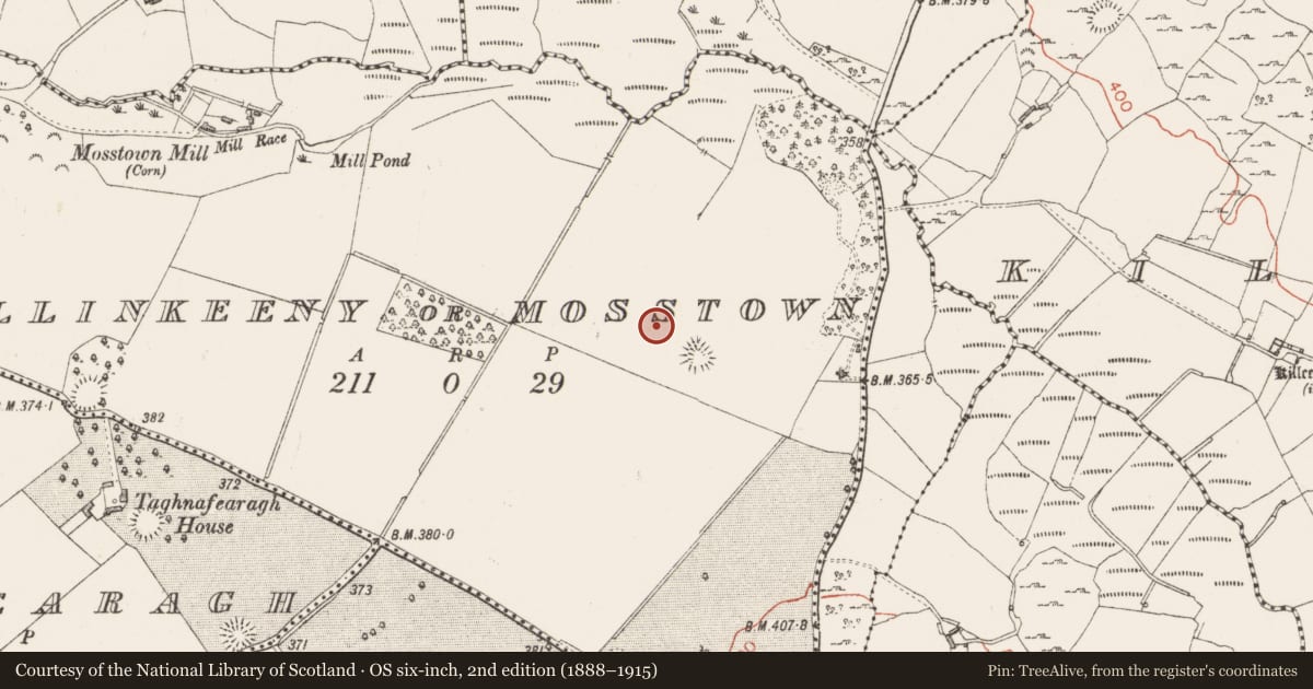 Ordnance Survey six-inch map, 2nd edition (1888–1915) covering the location of House - indeterminate date, Ballinkeeny Or Mosstown, County Westmeath, with a pin at the register's coordinates
