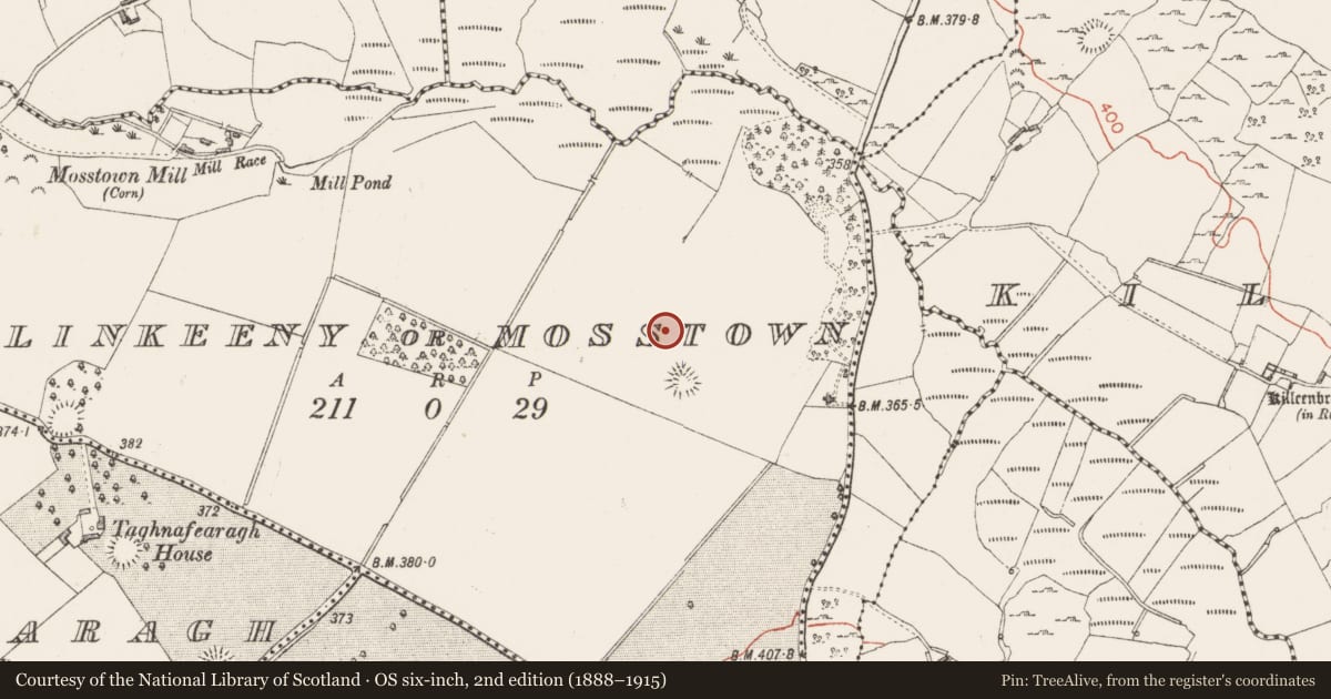 Ordnance Survey six-inch map, 2nd edition (1888–1915) covering the location of House - indeterminate date, Ballinkeeny Or Mosstown, County Westmeath, with a pin at the register's coordinates