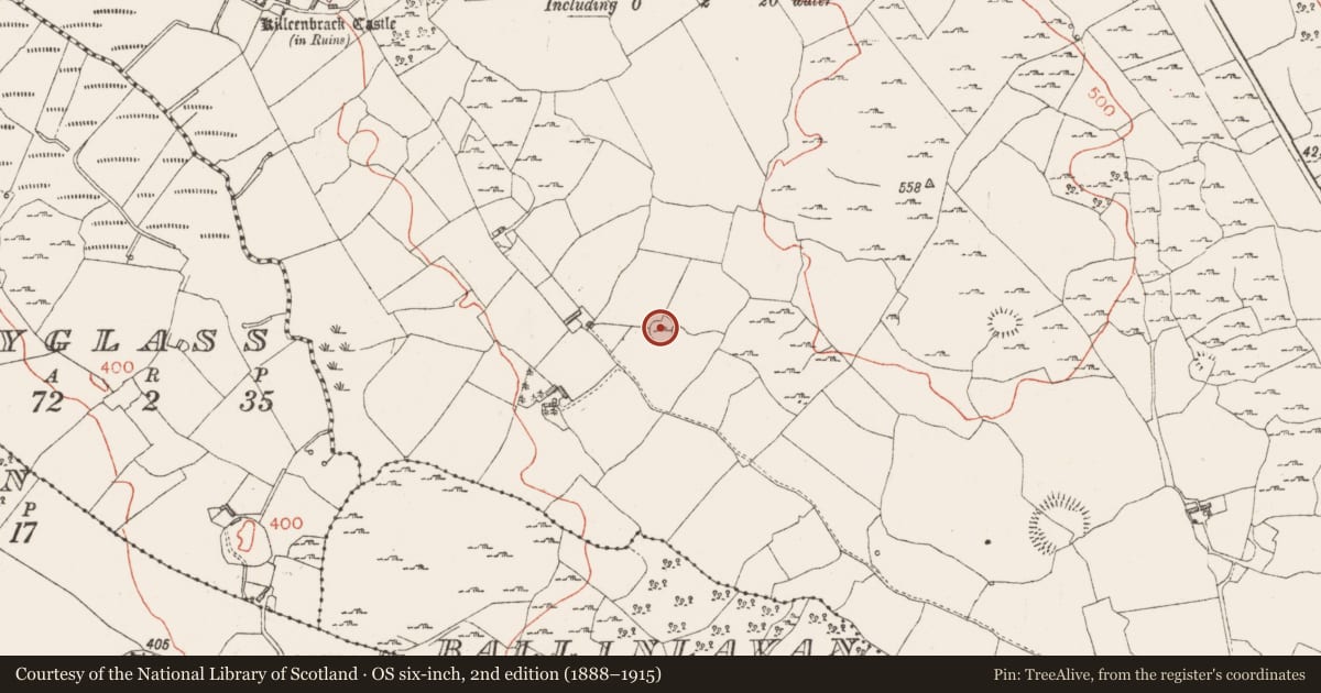 Ordnance Survey six-inch map, 2nd edition (1888–1915) covering the location of Enclosure, Killeenbrack, County Westmeath, with a pin at the register's coordinates