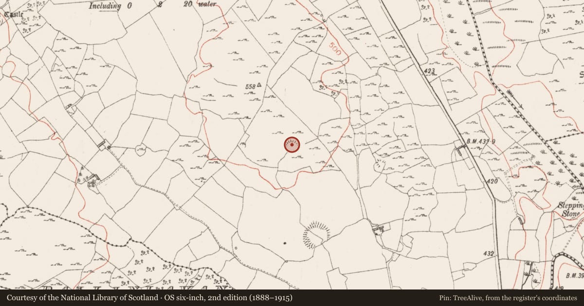 Ordnance Survey six-inch map, 2nd edition (1888–1915) covering the location of Ringfort - rath, Killeenbrack, County Westmeath, with a pin at the register's coordinates