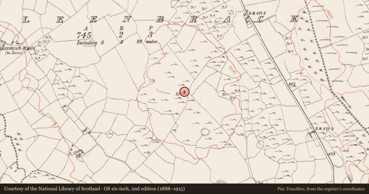 Ordnance Survey six-inch map, 2nd edition (1888–1915) covering the location of Barrow - mound barrow, Killeenbrack, County Westmeath, with a pin at the register's coordinates