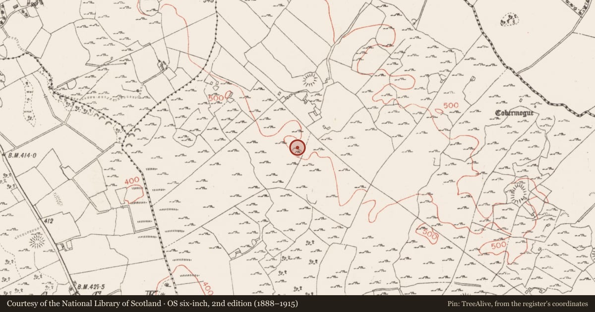 Ordnance Survey six-inch map, 2nd edition (1888–1915) covering the location of Ringfort - unclassified, Carn, County Westmeath, with a pin at the register's coordinates