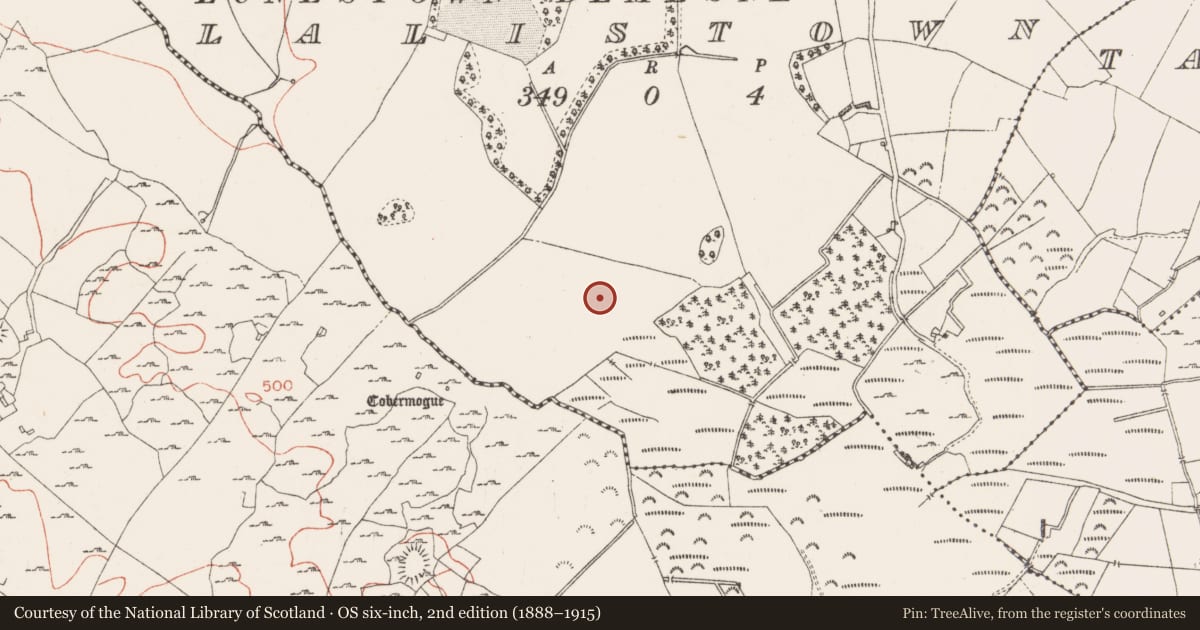 Ordnance Survey six-inch map, 2nd edition (1888–1915) covering the location of Standing stone, Lalistown, County Westmeath, with a pin at the register's coordinates
