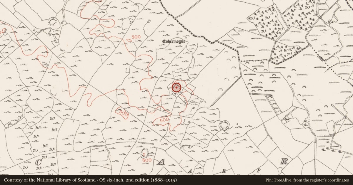 Ordnance Survey six-inch map, 2nd edition (1888–1915) covering the location of House - indeterminate date, Carn, County Westmeath, with a pin at the register's coordinates