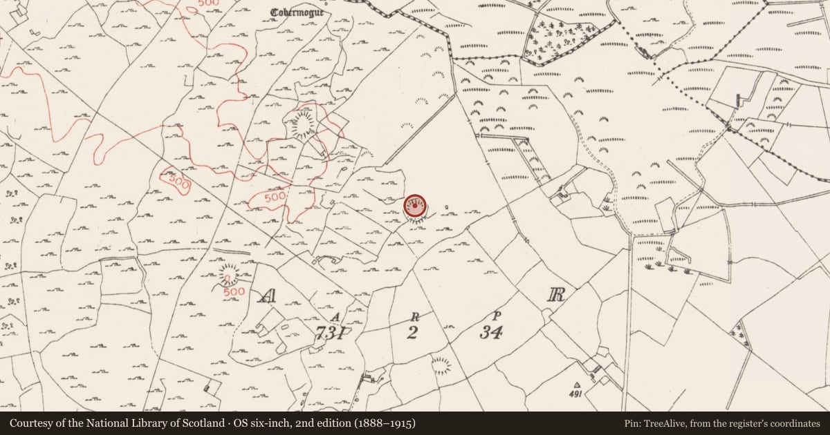 Ordnance Survey six-inch map, 2nd edition (1888–1915) covering the location of Ringfort - rath, Carn, County Westmeath, with a pin at the register's coordinates