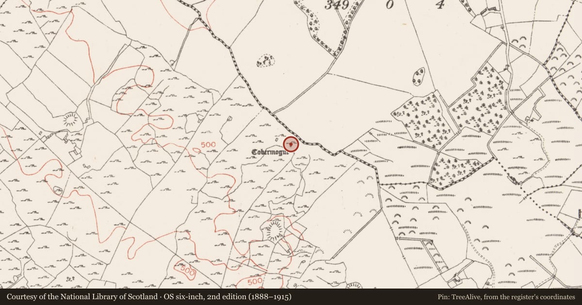 Ordnance Survey six-inch map, 2nd edition (1888–1915) covering the location of Ritual site - holy well, Carn, County Westmeath, with a pin at the register's coordinates