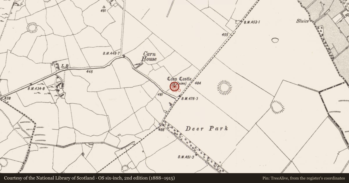 Ordnance Survey six-inch map, 2nd edition (1888–1915) covering the location of Castle - tower house, Carn, County Westmeath, with a pin at the register's coordinates