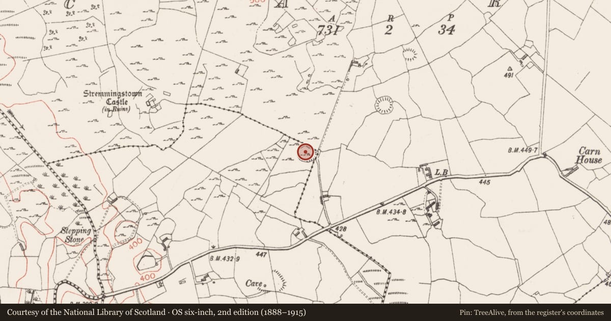 Ordnance Survey six-inch map, 2nd edition (1888–1915) covering the location of Ringfort - rath, Clonyrina, County Westmeath, with a pin at the register's coordinates