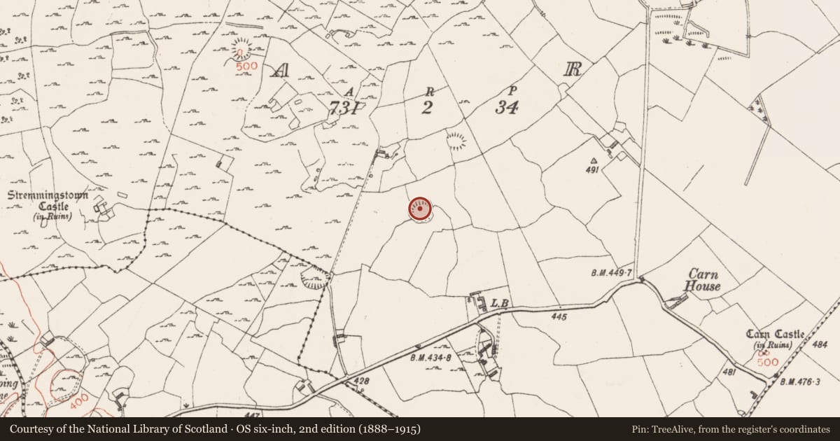 Ordnance Survey six-inch map, 2nd edition (1888–1915) covering the location of Hut site, Carn, County Westmeath, with a pin at the register's coordinates