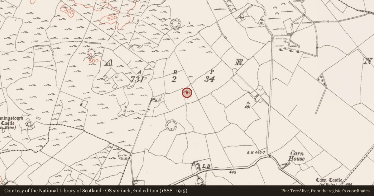 Ordnance Survey six-inch map, 2nd edition (1888–1915) covering the location of Ringfort - rath, Carn, County Westmeath, with a pin at the register's coordinates