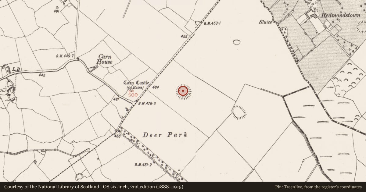 Ordnance Survey six-inch map, 2nd edition (1888–1915) covering the location of Ringfort - rath, Jamestown, County Westmeath, with a pin at the register's coordinates