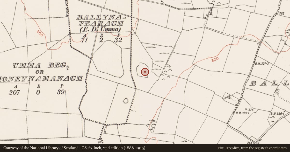 Ordnance Survey six-inch map, 2nd edition (1888–1915) covering the location of Enclosure - large enclosure, Raheen, County Westmeath, with a pin at the register's coordinates