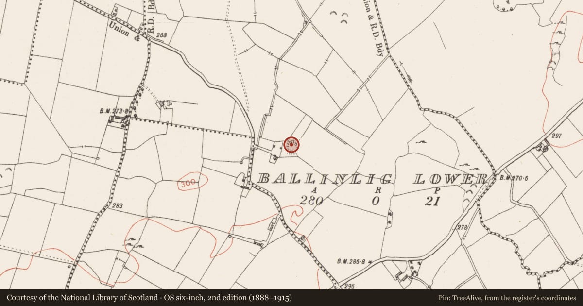 Ordnance Survey six-inch map, 2nd edition (1888–1915) covering the location of Barrow - ring-barrow, Ballinlig Lower, County Westmeath, with a pin at the register's coordinates