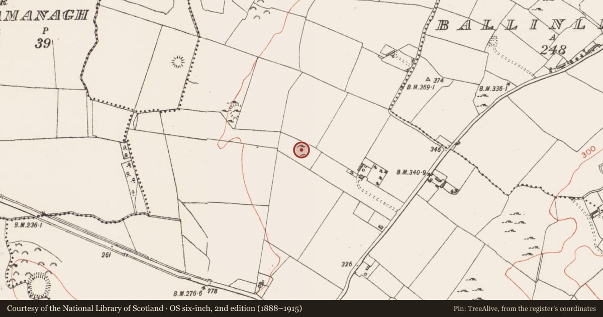 Ordnance Survey six-inch map, 2nd edition (1888–1915) covering the location of Children's burial ground, Raheen, County Westmeath, with a pin at the register's coordinates