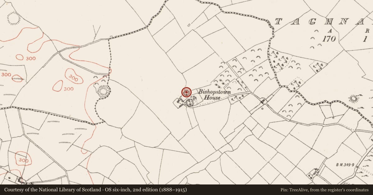 Ordnance Survey six-inch map, 2nd edition (1888–1915) covering the location of Ringfort - rath, Ballinaspick Or Bishopstown, County Westmeath, with a pin at the register's coordinates