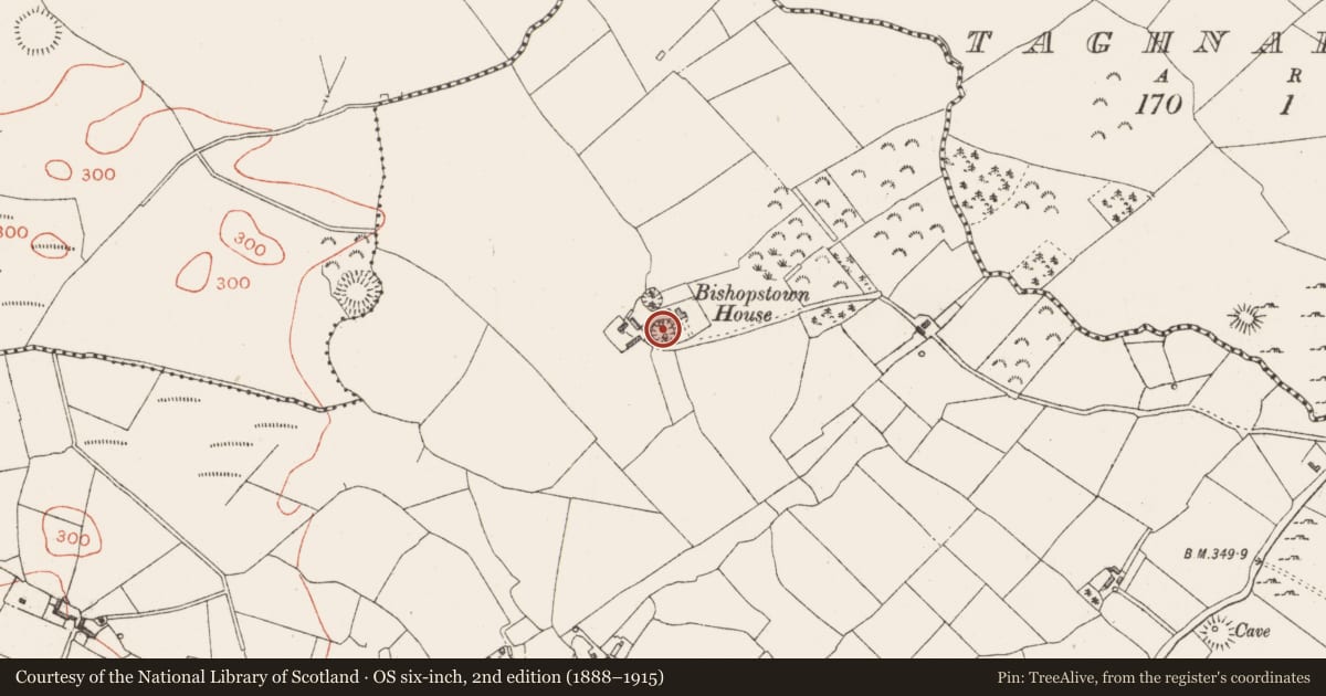 Ordnance Survey six-inch map, 2nd edition (1888–1915) covering the location of Ringfort - rath, Ballinaspick Or Bishopstown, County Westmeath, with a pin at the register's coordinates