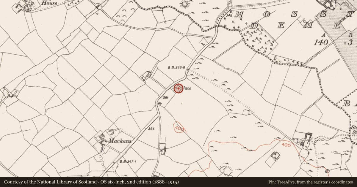 Ordnance Survey six-inch map, 2nd edition (1888–1915) covering the location of Ringfort - rath, Ballinaspick Or Bishopstown, County Westmeath, with a pin at the register's coordinates