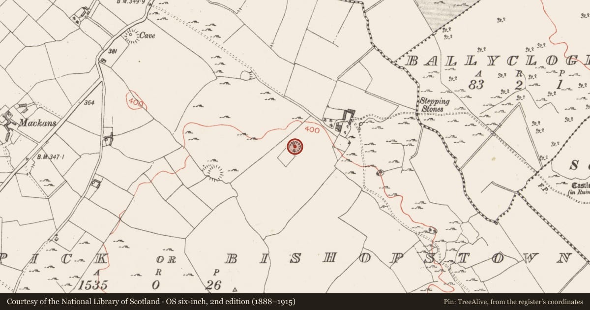 Ordnance Survey six-inch map, 2nd edition (1888–1915) covering the location of Ringfort - rath, Ballinaspick Or Bishopstown, County Westmeath, with a pin at the register's coordinates
