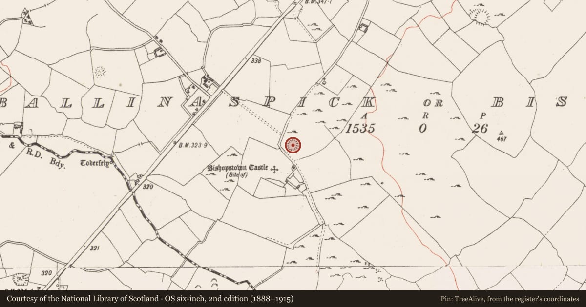 Ordnance Survey six-inch map, 2nd edition (1888–1915) covering the location of Ringfort - rath, Ballinaspick Or Bishopstown, County Westmeath, with a pin at the register's coordinates
