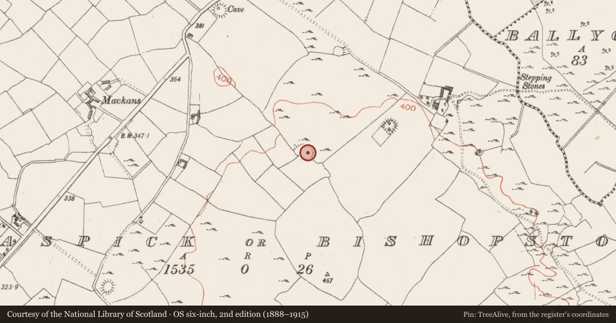 Ordnance Survey six-inch map, 2nd edition (1888–1915) covering the location of Ringfort - rath, Ballinaspick Or Bishopstown, County Westmeath, with a pin at the register's coordinates