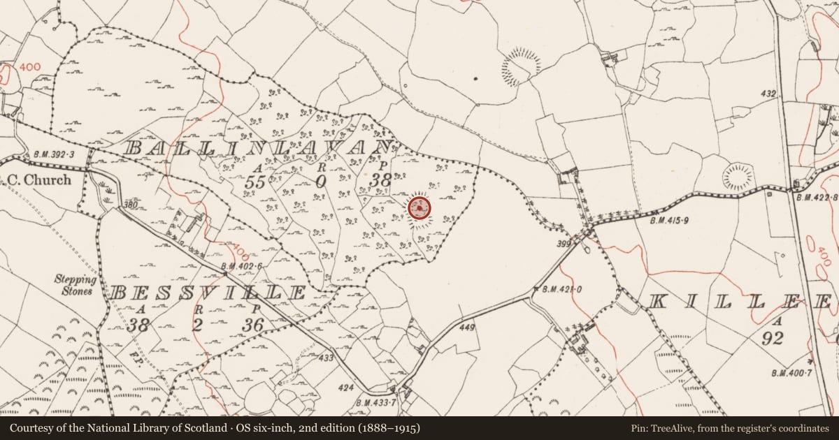 Ordnance Survey six-inch map, 2nd edition (1888–1915) covering the location of Ringfort - unclassified, Ballinlavin, County Westmeath, with a pin at the register's coordinates
