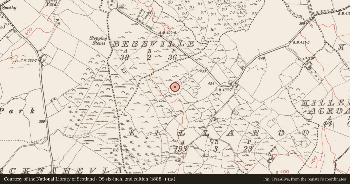Ordnance Survey six-inch map, 2nd edition (1888–1915) covering the location of Ringfort - rath, Killaroo, County Westmeath, with a pin at the register's coordinates
